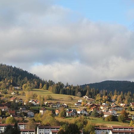 Вилла Chalet Du Toit Vosgien Жерарме Экстерьер фото